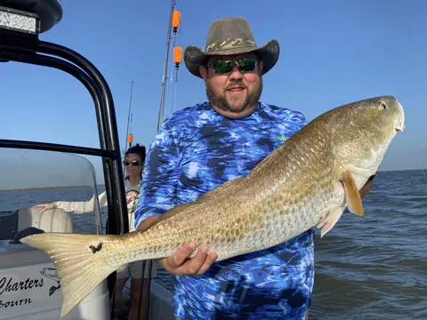 Angler in a cowboy hat holding a bull redfish on the boat near Venice, Louisiana