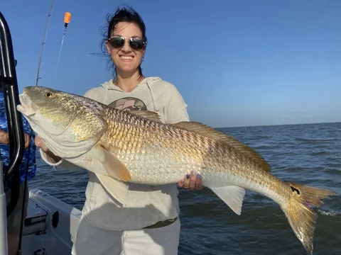 Angler holding a bull redfish on the boat in evening light near Venice, Louisiana