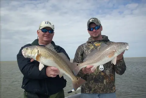 Two anglers in jackets each holding a bull redfish on a winter trip