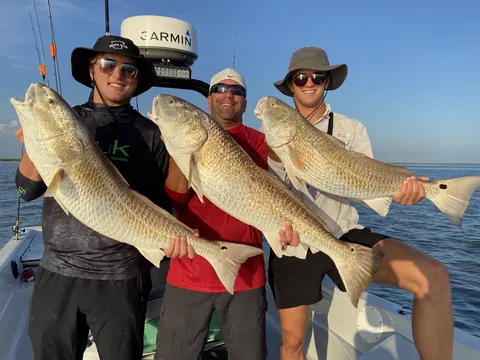 Three anglers each holding a bull redfish in golden evening light near Venice, Louisiana