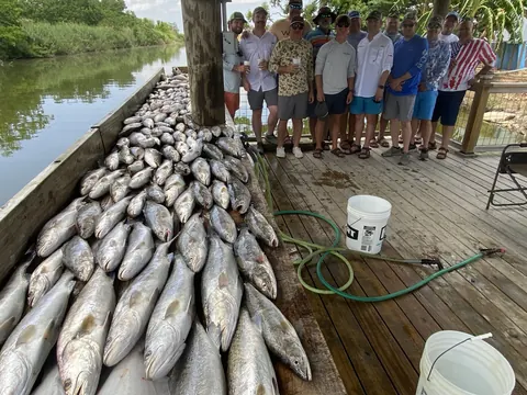 A large group of anglers behind long rows of fish on the cleaning dock in Venice, Louisiana