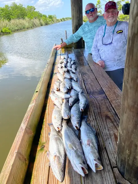 Two anglers beside a row of speckled trout on the cleaning dock in Venice, Louisiana