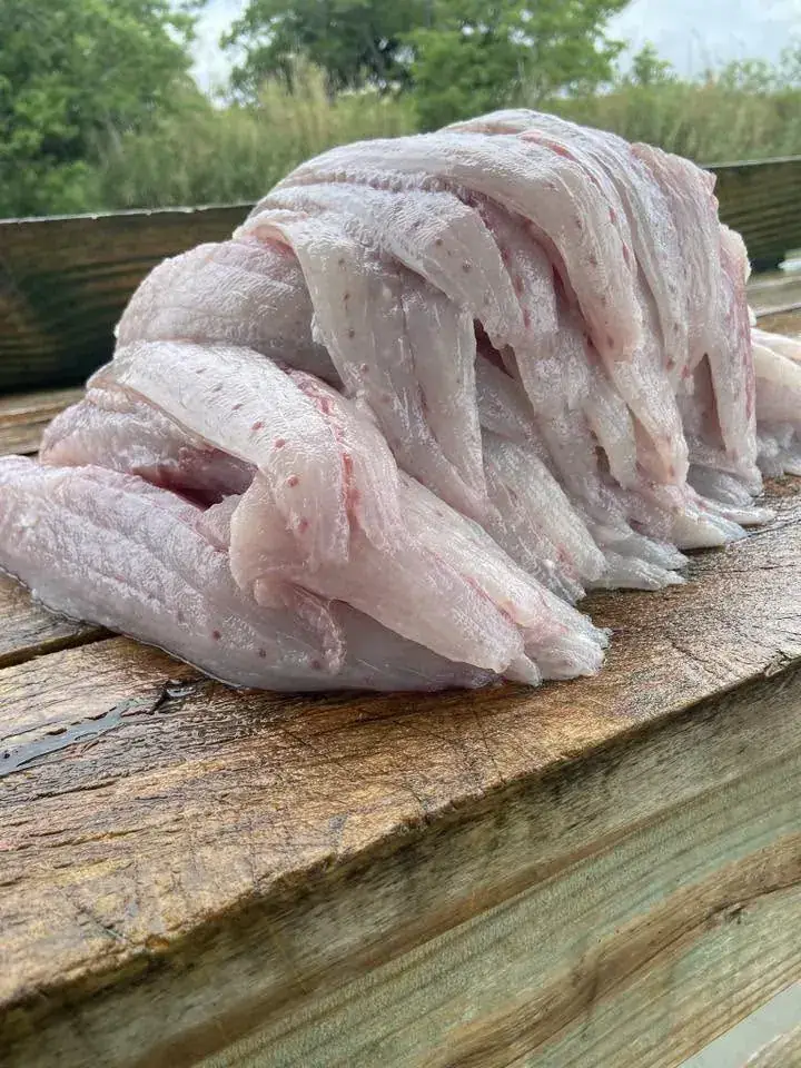 Cleaned fillets stacked on the dock after a trip