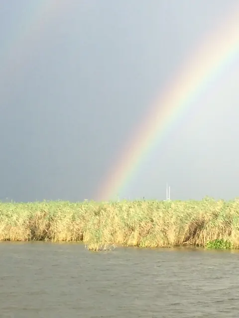 A rainbow over the marsh grass near Venice, Louisiana