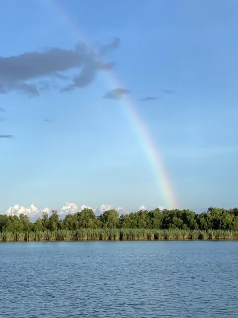 A rainbow rising from the tree line across the water near Venice, Louisiana