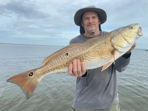 Angler in a gray shirt holding out a redfish with a spot on its tail near Venice, Louisiana