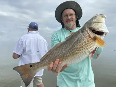 Angler in a mint shirt holding a redfish while another fishes behind him near Venice, Louisiana