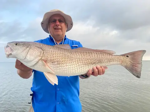 Angler in a blue shirt holding a redfish on a calm, overcast day near Venice, Louisiana