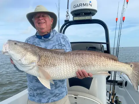 Angler in a sun hat holding a large redfish beside the boat's console near Venice, Louisiana