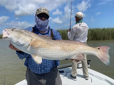 Angler holding a large redfish while a second angler casts from the bow near Venice, Louisiana