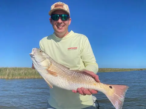 Angler in a yellow shirt holding a redfish in front of marsh grass near Venice, Louisiana