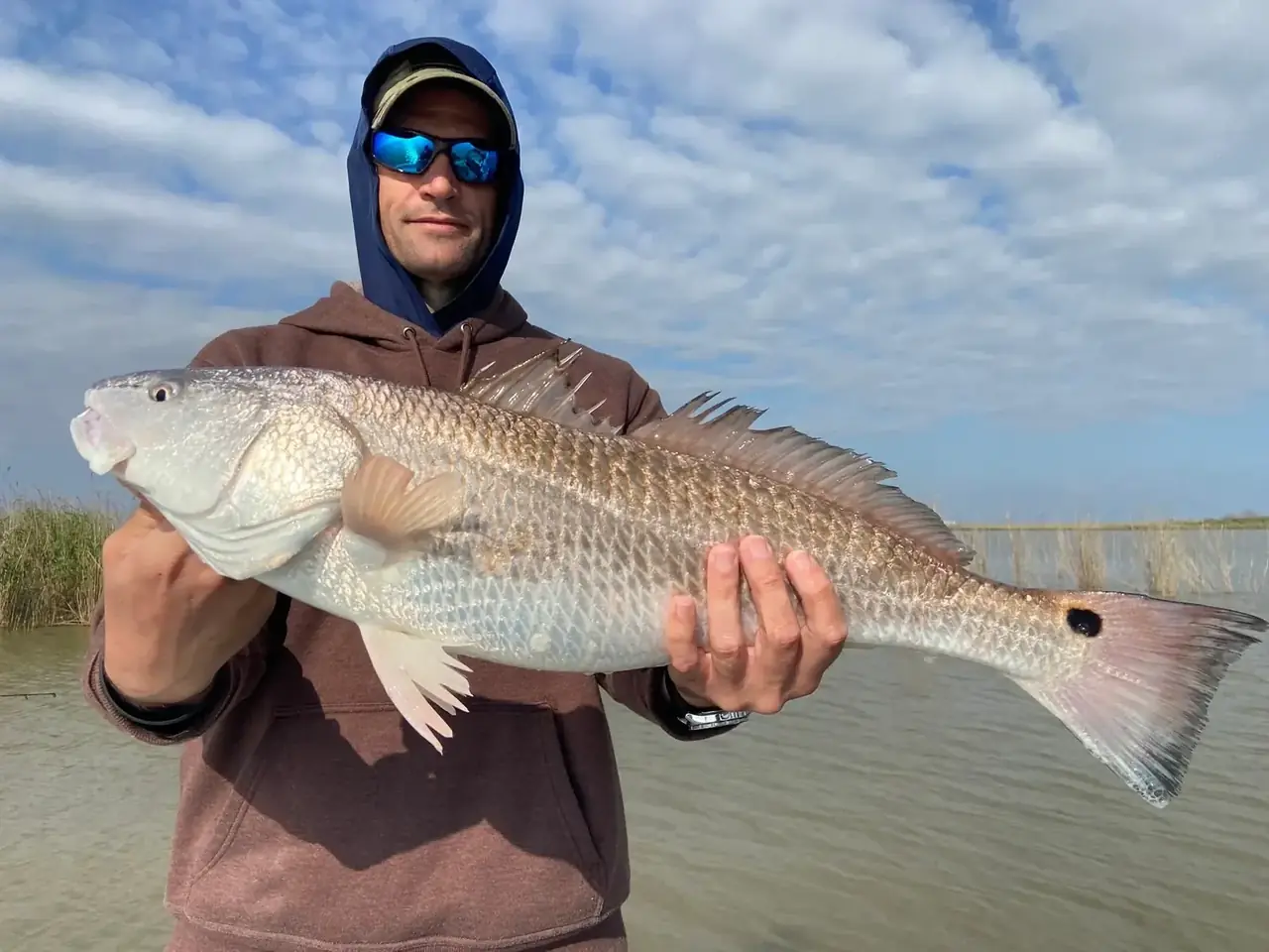 Angler in a hooded jacket holding a redfish along the marsh edge