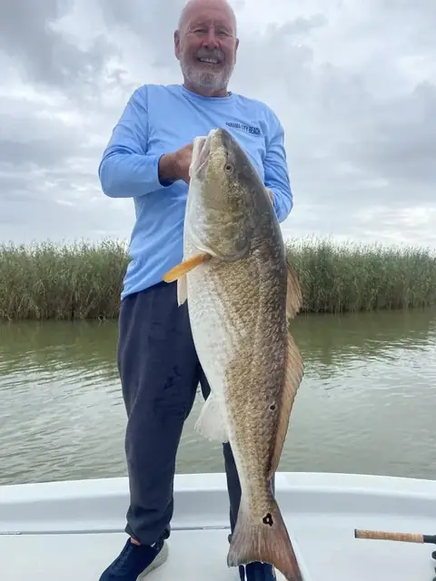 Angler holding a redfish upright in front of marsh grass near Venice, Louisiana