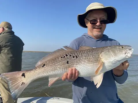 Angler in a gray hoodie holding a redfish with many spots near Venice, Louisiana