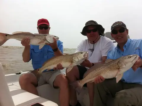 Three anglers seated in the boat each holding a redfish