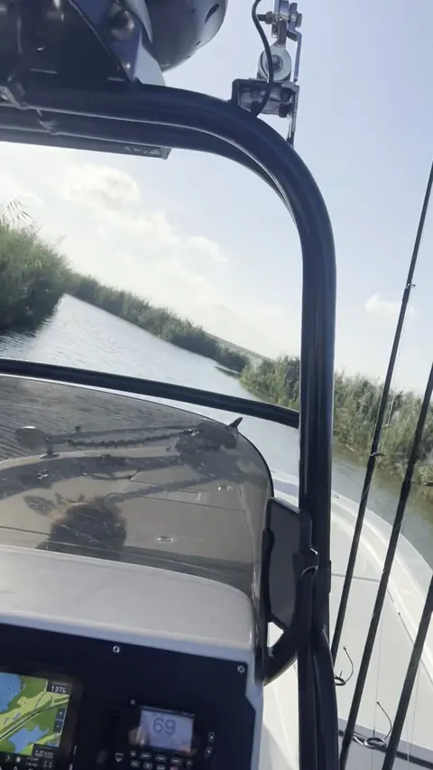 Video: running along a marsh channel, seen from the helm of the boat