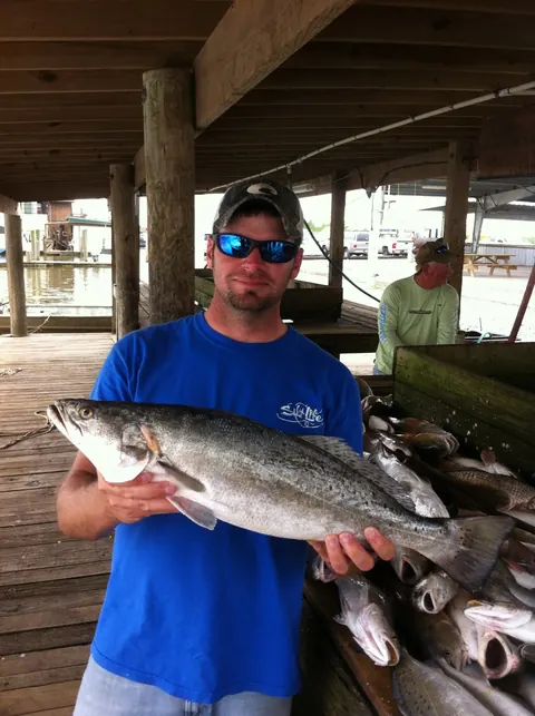 Angler holding a large speckled trout at the dock in Venice, Louisiana