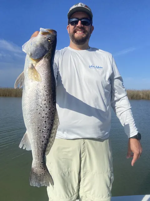 Angler in a white shirt holding up a large speckled trout in front of the marsh near Venice, Louisiana